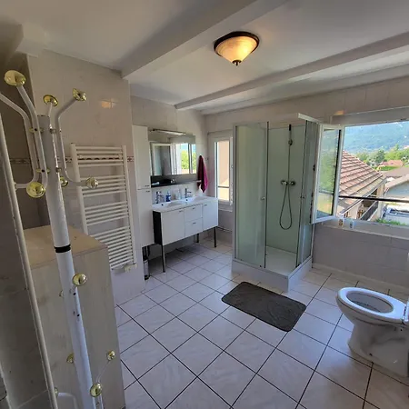 Apartment Au Bord Du Foron Scionzier